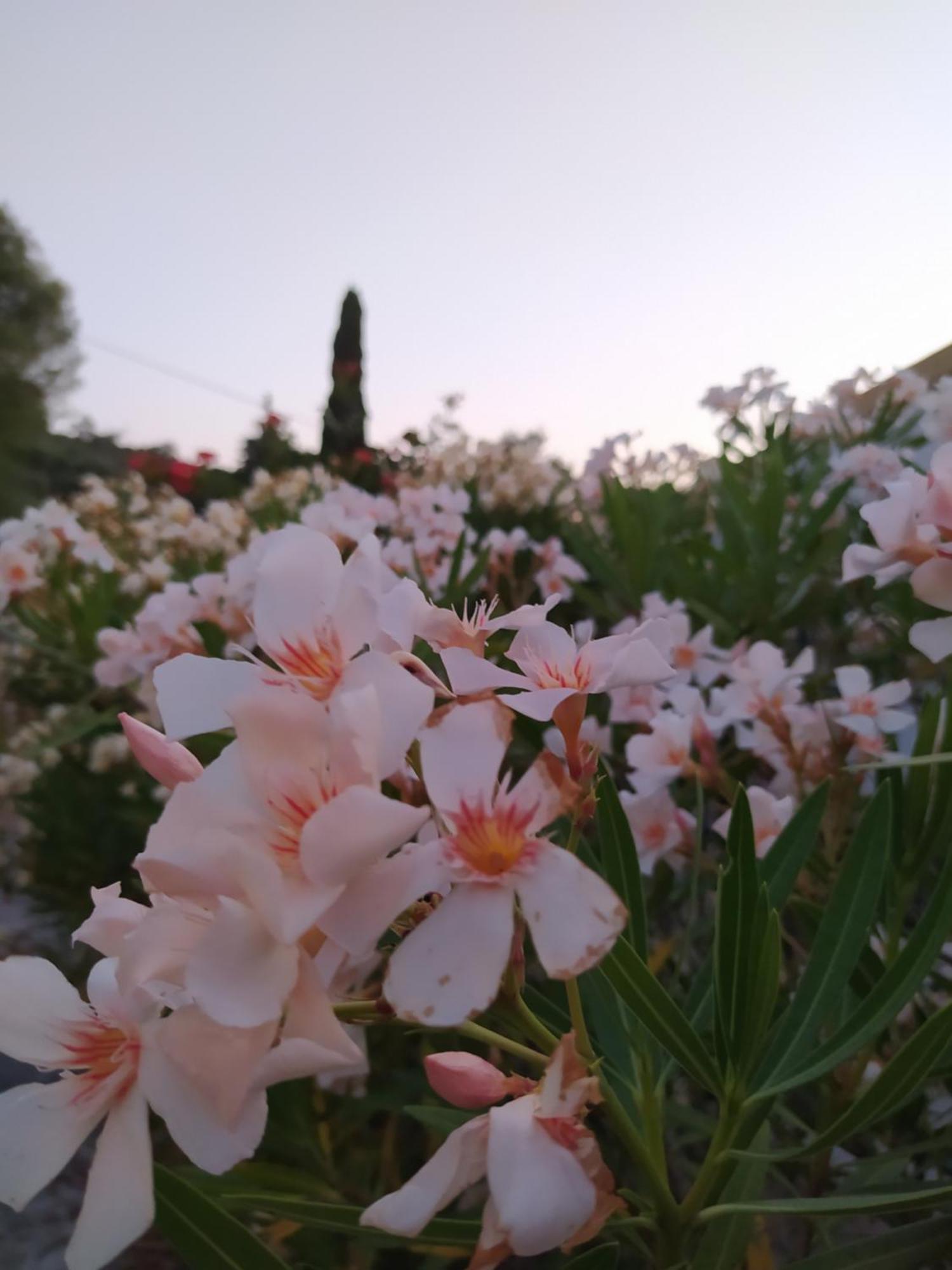 Captain'S House Longós المظهر الخارجي الصورة